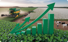 Valorização Progressiva